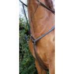 Brustblatt mit Doppelnaht T de T