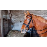 Dressurtrense Leder Pollock T de T