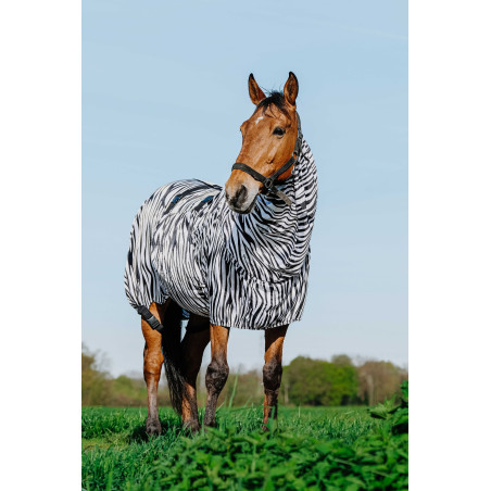 Ekzemerdecke Zebra Riding World