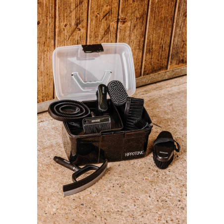 Mähnenkamm Hippotonic