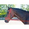 Trensenzaum Biotack® T de T - Rot