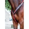 Brustblatt Biotack T de T - Fuchsie