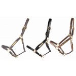 Lederhalfter mit Gravurplatte T de T