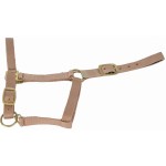 Synthetikhalfter mit Wildlederfutter T de T