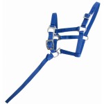 Synthetisches Fohlenhalfter T de T