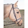 Trensenzaum Guardi T de T Aqua anatomisches Genickstück Softy-Leder - Schwarz