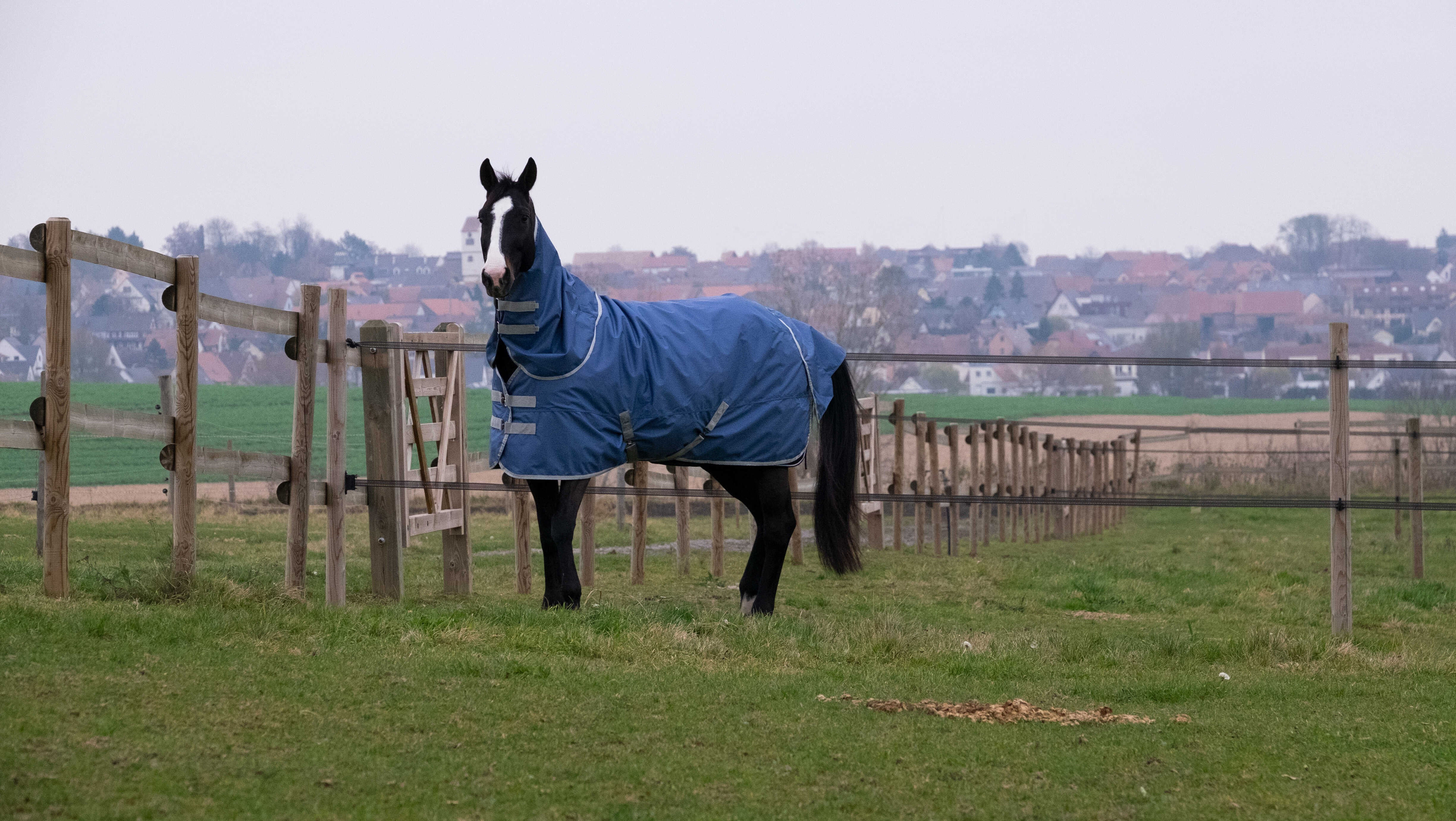 Halsabdeckung Equithème Tyrex 600D recycelt Marineblau