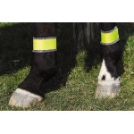Reflektierende gelbe Bandagen für Hinterbeine