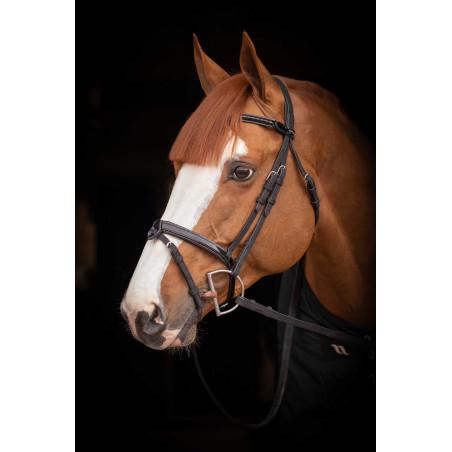 Birdon Oxford Performance Pénélope