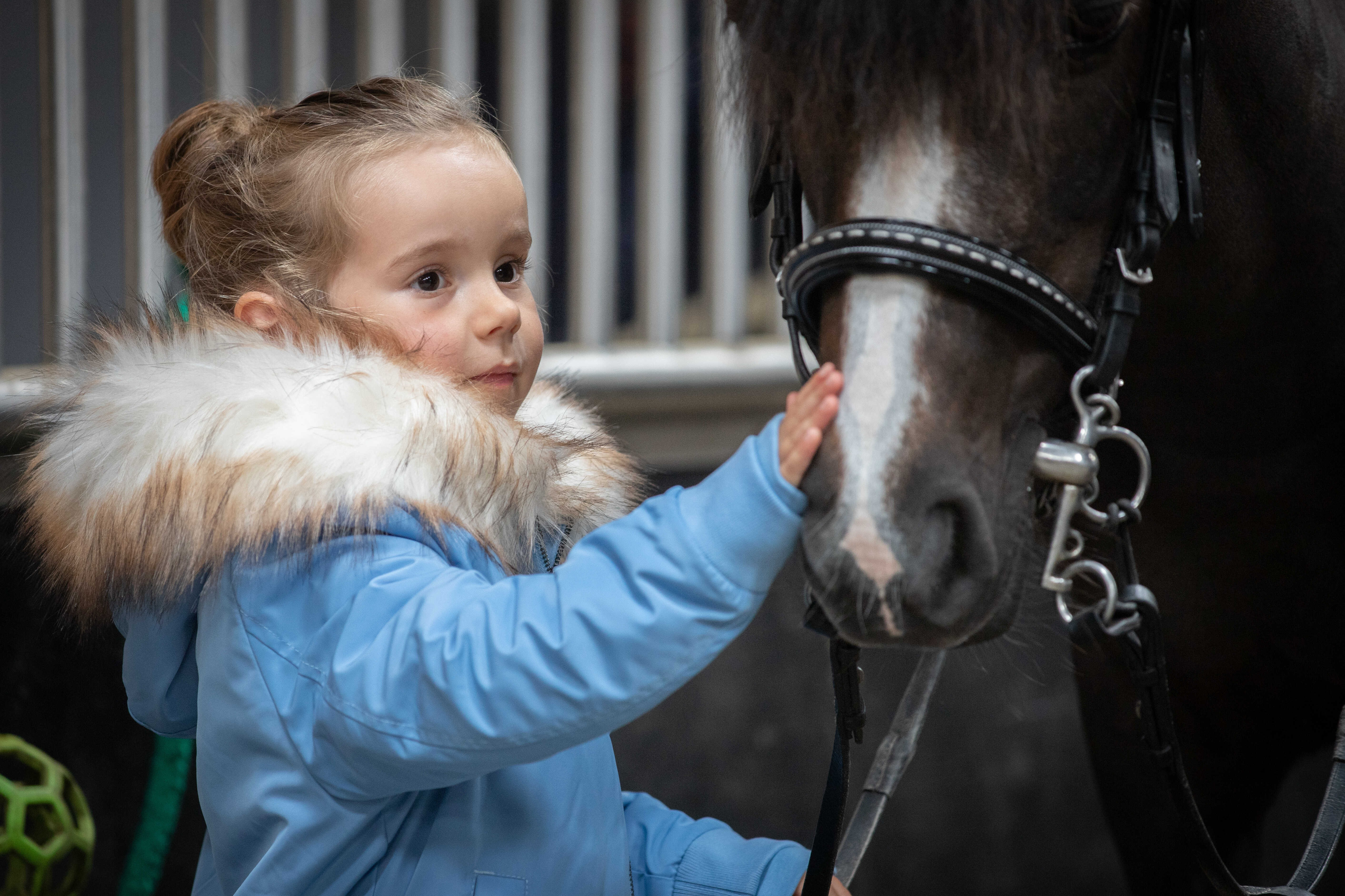 Bombers Eden von PL Lyon Arktisblau