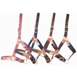 Lederhalfter und T-Gurt von T de T