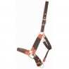 Lederhalfter und T-Gurt von T de T - Braun