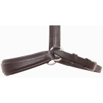 Deutscher Nasenriemen T de T