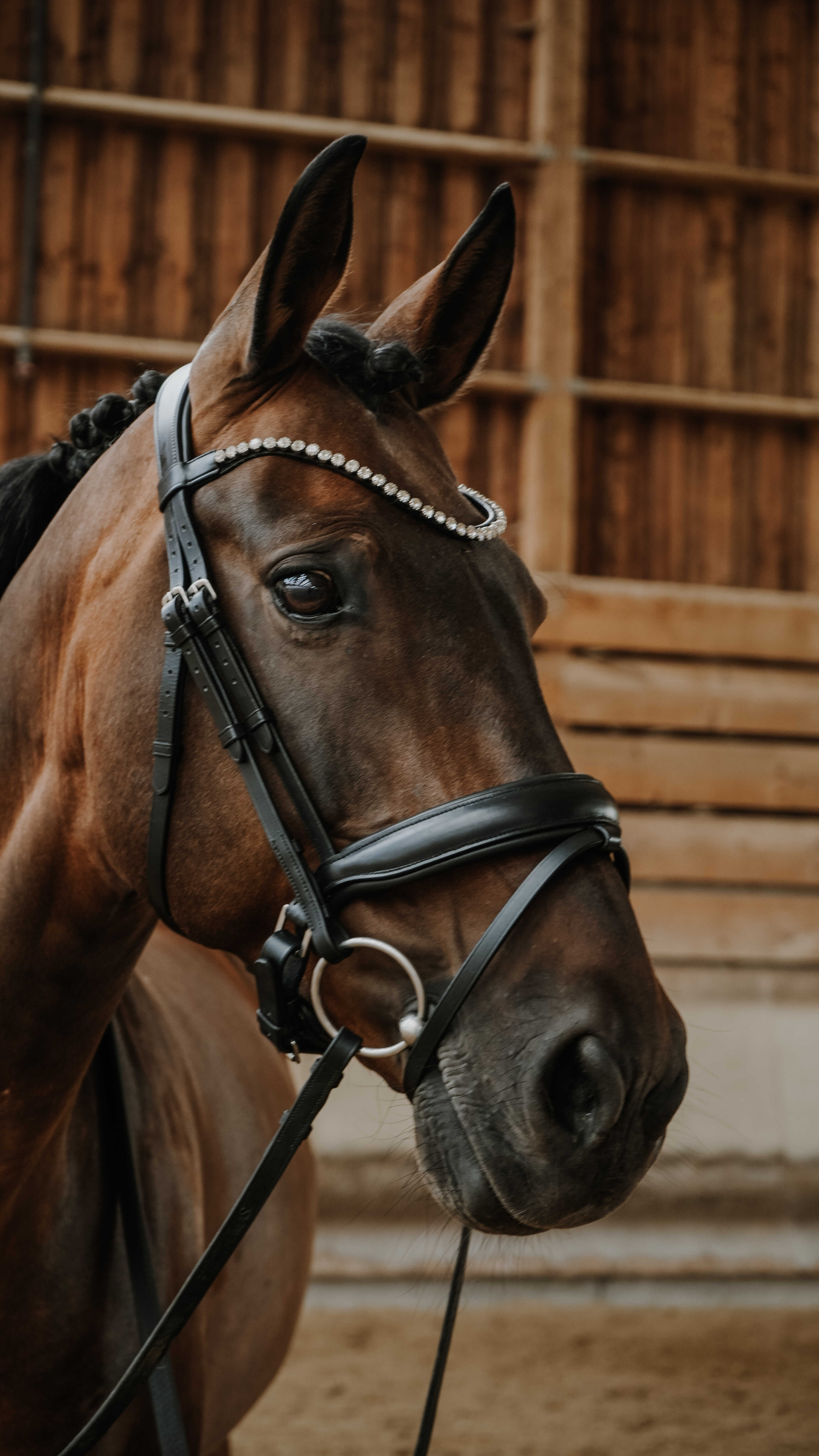 Trense Norton Diams Schwarz Trense Norton Diams Schwarz