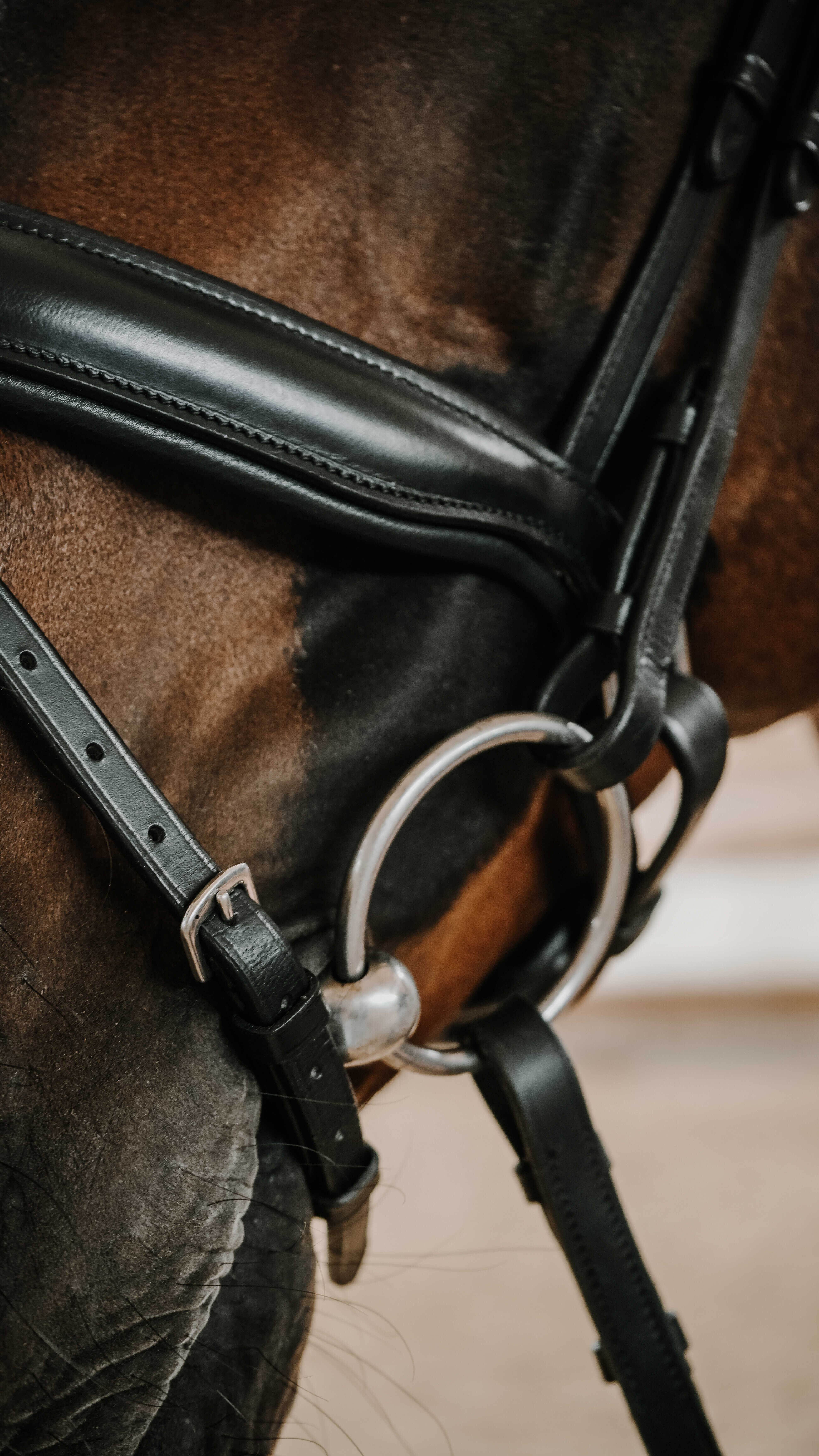 Trense Norton Diams Schwarz Trense Norton Diams Schwarz