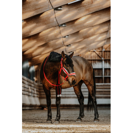 Halfter + Führstrick Equithème Xmas