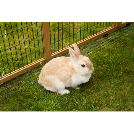 Außengehege mit Ausbruchschutz Kerbl Hobbyfarming