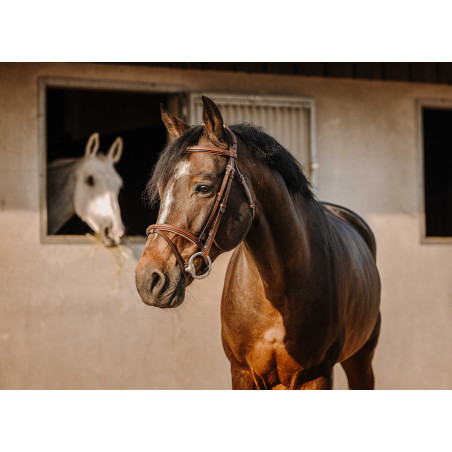 Trense Eric Thomas Crown