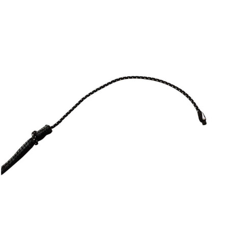 Dressurgerte Whip & Go