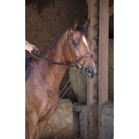 Deutsche Zügel Leder / Seil Norton Pro