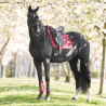 Imperial Riding Schabracke Josie Dressur - Feige