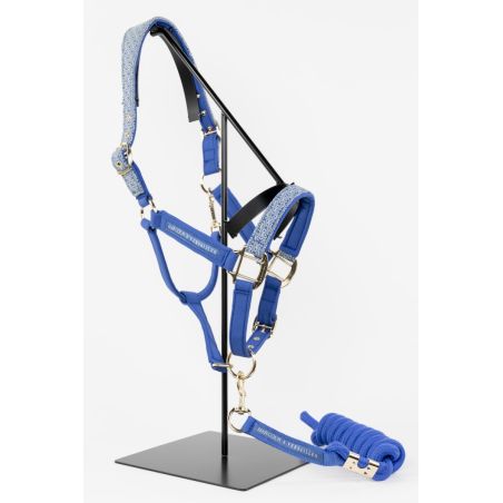 Halter und Führstrick Harcour x Versailles Maximin