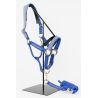 Halter und Führstrick Harcour x Versailles Maximin - Marine
