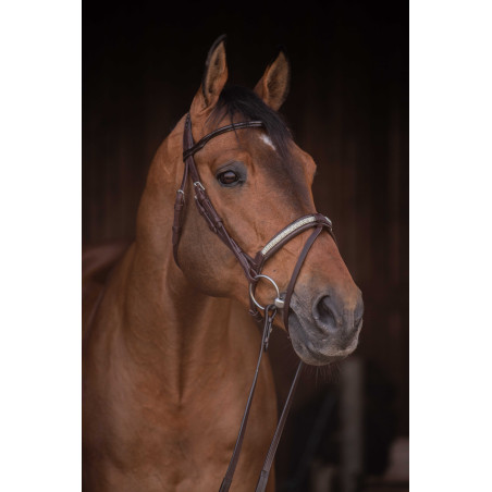 Trensenzaum Pénélope Symphonie