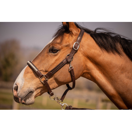 Halfter Pénélope Harmonie