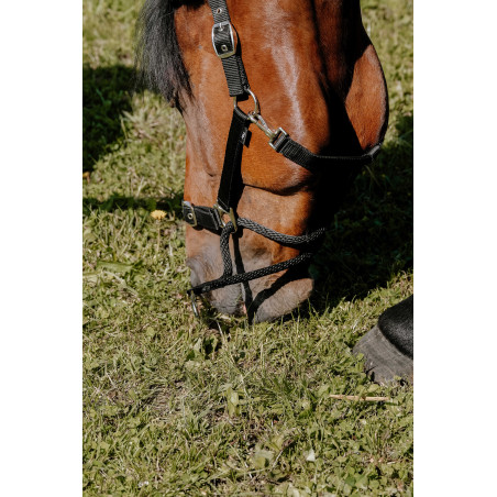 Erzieherisches Norton-Halfter