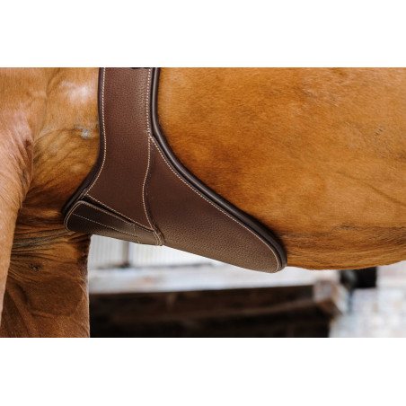 Gurt mit Magnetbauchlatz Norton