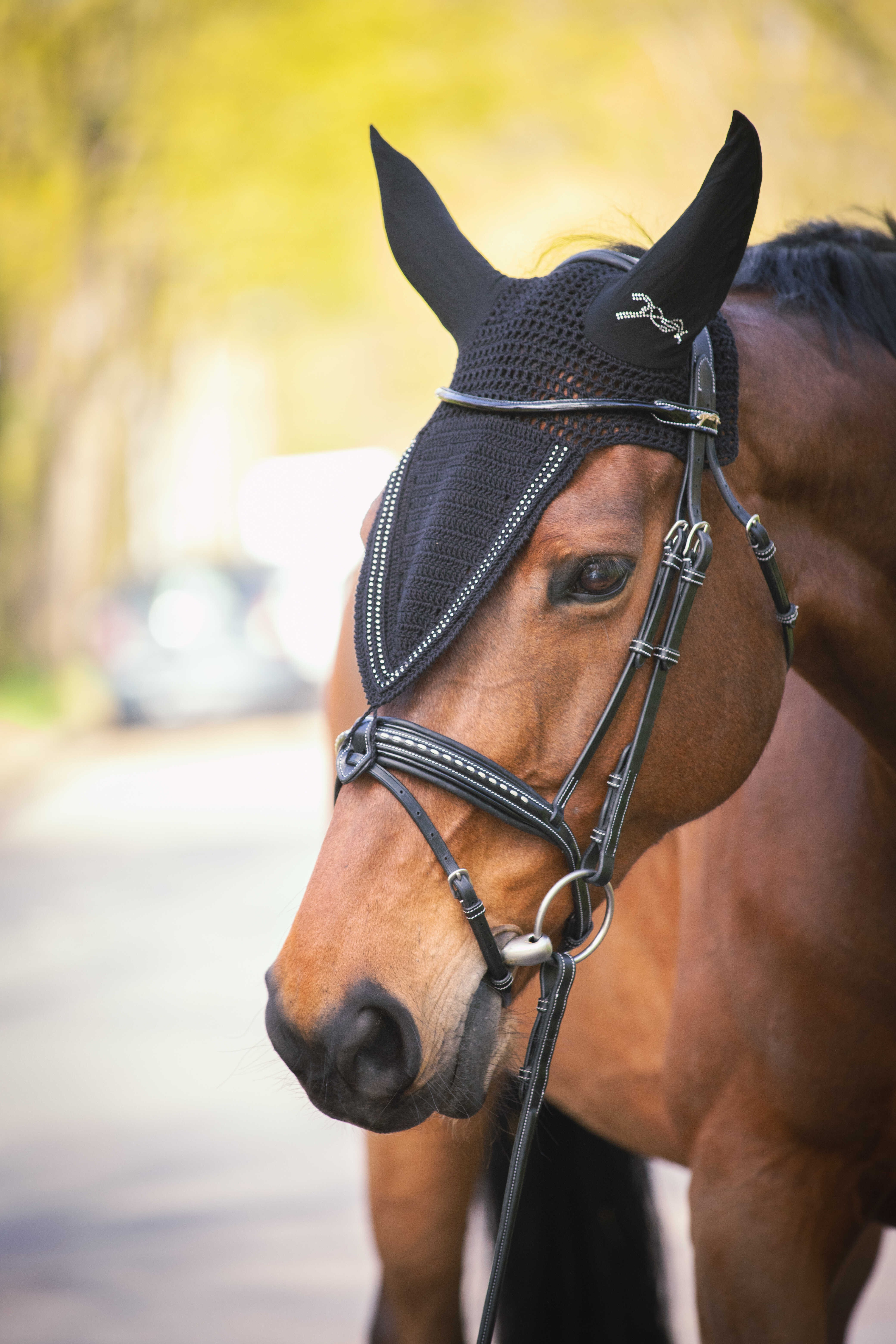 Mütze für Pferde lang Pénélope Strass Marine Marineblau