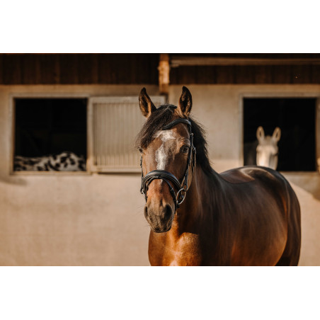 Trense Eric Thomas Bat