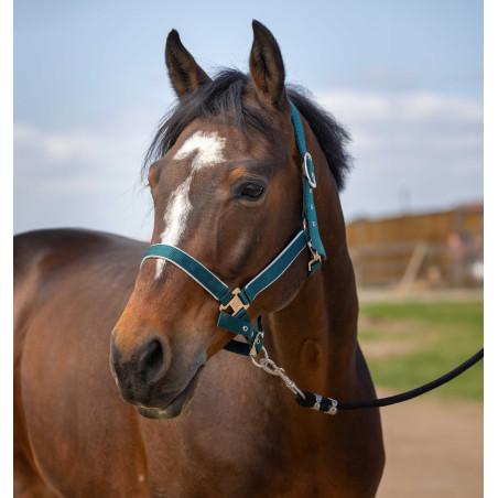 Halfter Equithème Nylon Light