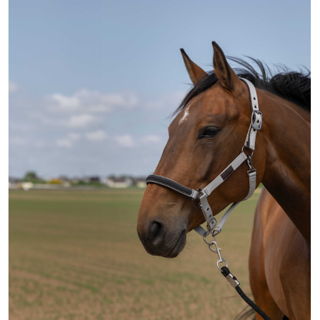 Halfter Equithème Nylon Chevron