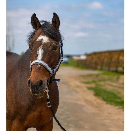 Halfter Equithème Nylon Check