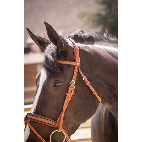 Trense Pénélope Eleganz