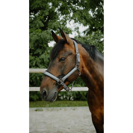 Equithème Glowy Halfter