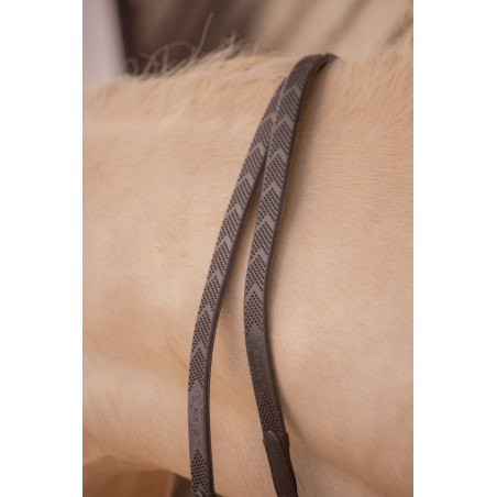 Pénélope Symphonie Zügel