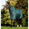 Amigo Ripstop Horseware 900D Plus Turnout 100g Decke - Grün Dynastie / Marineblau / Silber