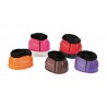 Glocken schwarzes Schaf Arma Shires - Violett