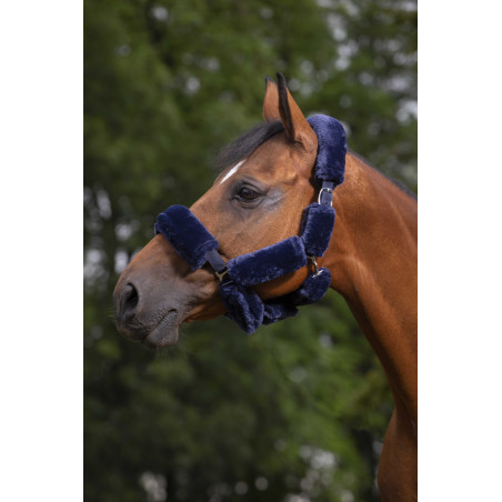 Set für Halfter Equithème Teddy