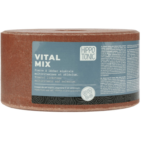 Hippotonic Vitalmix Salzleckstein