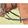 Flexi Rein® Shires - Havanna