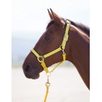 Nylonhalfter Topaz Shires