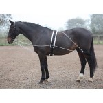 Longierhilfe Shires