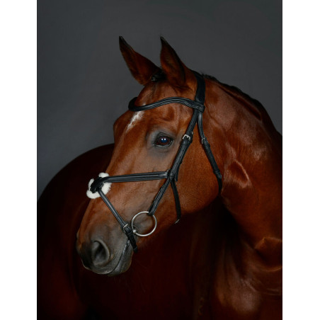 Collegiate ComFiTec Opulux gepolsterte Trensenzaum mit mexikanischem Reithalfter