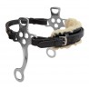 Hackamore Blenheim Shires - Braun