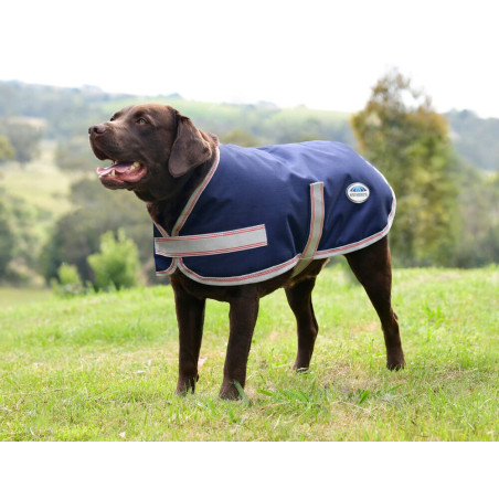 Weatherbeeta ComFiTec Essential Hundedecke