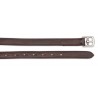 Steigbügelriemen Leder Blenheim Shires - Havanna